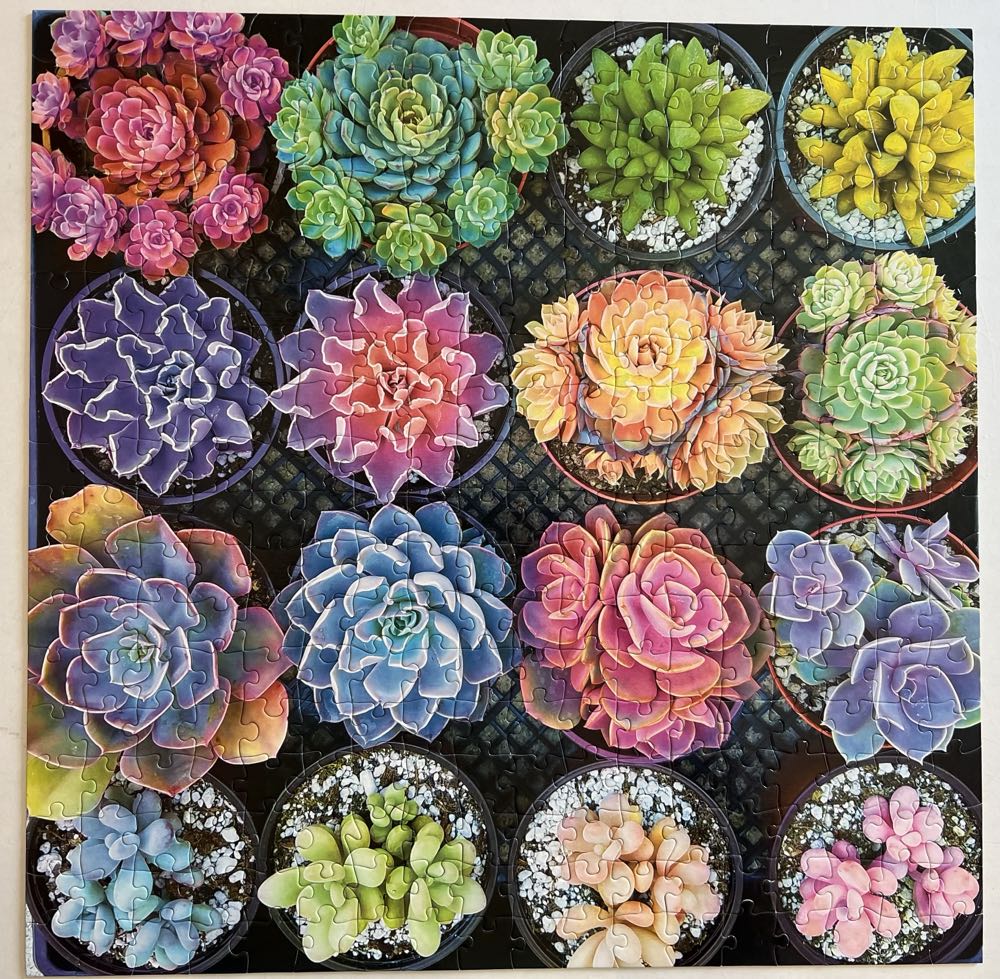 Sweet Succulents  - Buffalo puzzle collectible [Barcode 079346028405] - Main Image 2