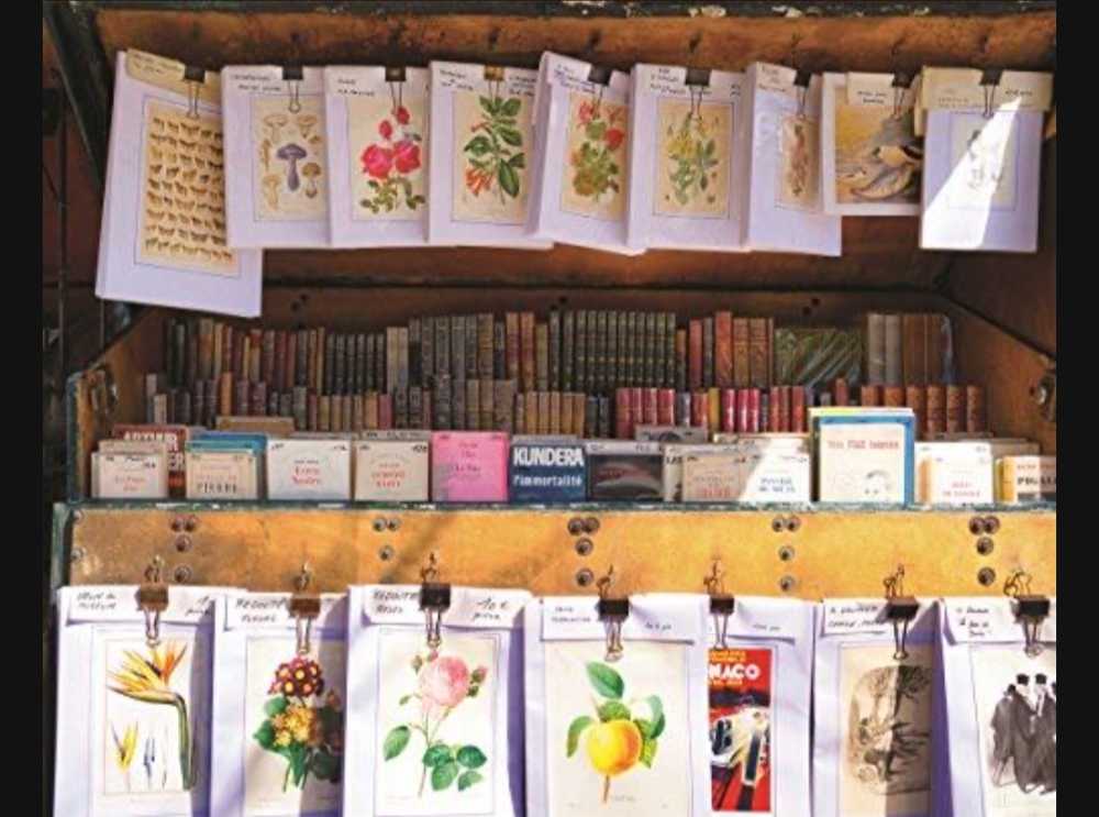 Parisian Library - Springbok puzzle collectible [Barcode 091683108114] - Main Image 2