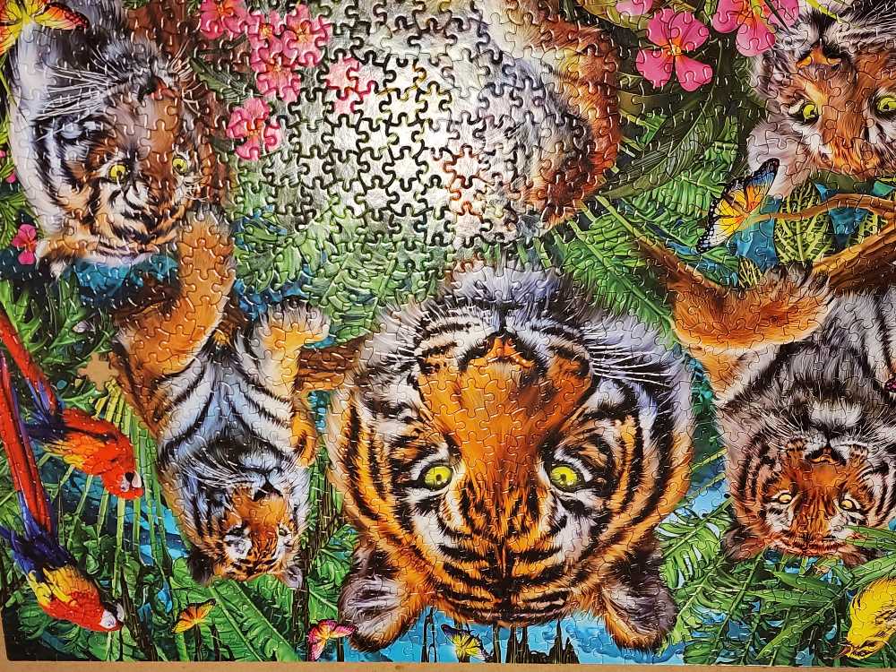 Tiger Jungle Pieces Ceaco | Puzzle Warehouse -  Ceaco puzzle collectible [Barcode 021081332811] - Main Image 3