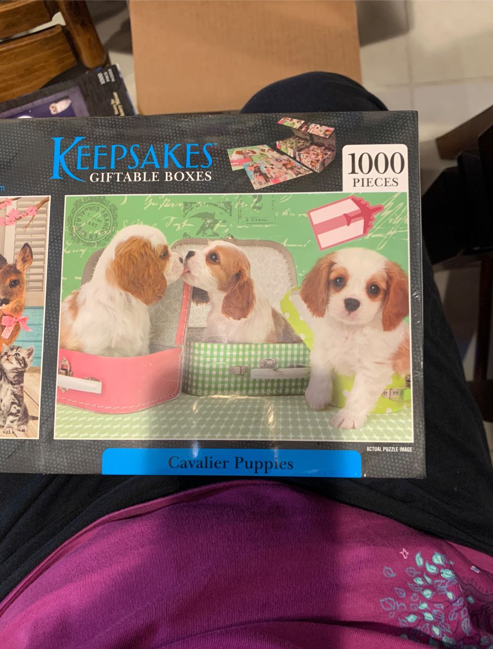 True Love And Cavalier Puppies - Keepsakes puzzle collectible [Barcode 686141202765] - Main Image 2