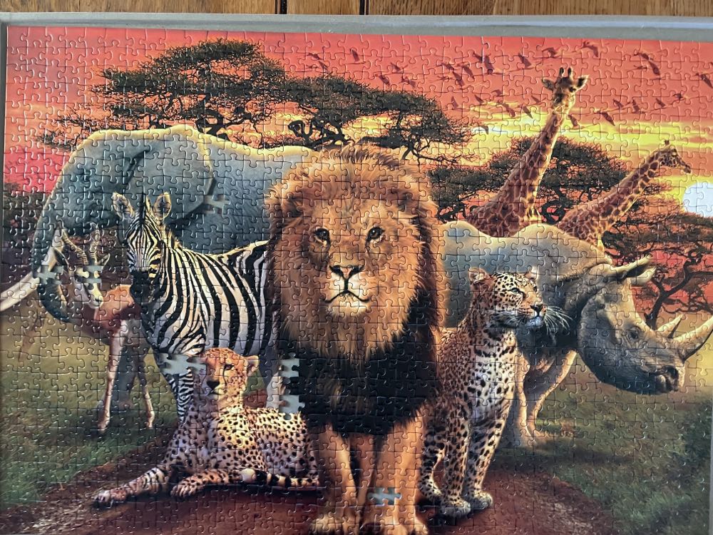 African Splendor - Ravensburger puzzle collectible [Barcode 4005556822140] - Main Image 2