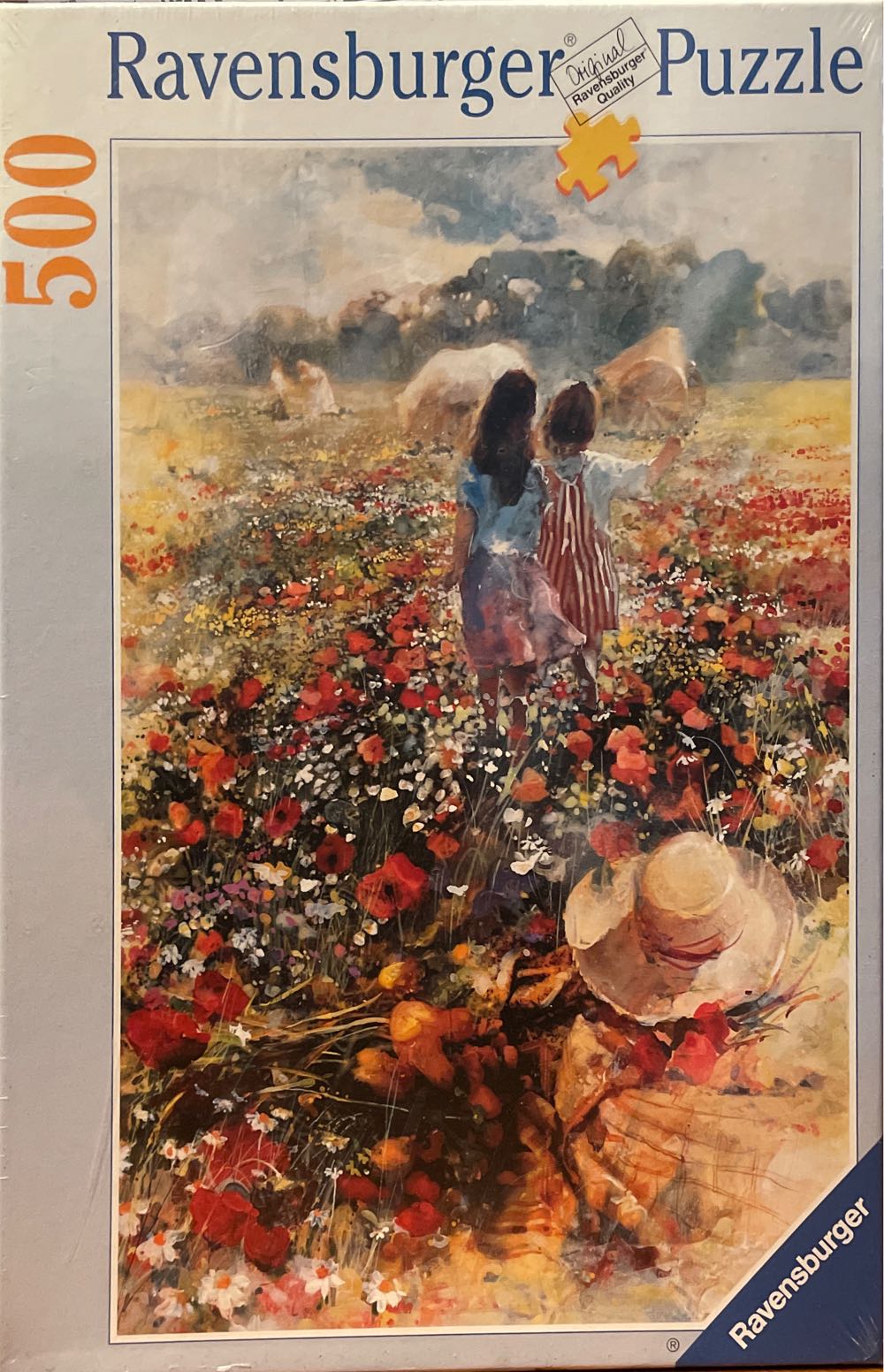 Hogwarts Room of Requirement