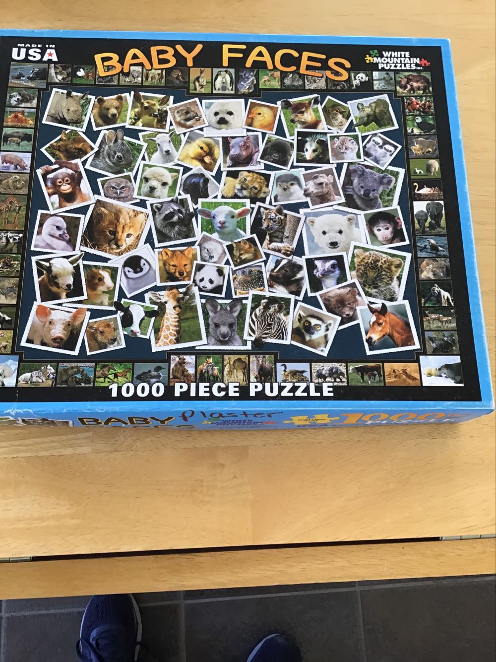 Crazy Cats-Visit Kitty’s Cakes-Jennifer