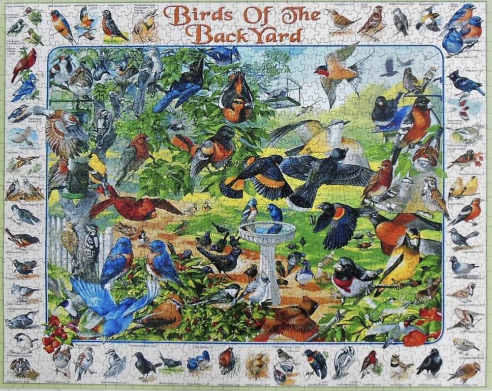 Birds Of The Backyard - White Mountain 🇺🇸 puzzle collectible [Barcode 724819248919] - Main Image 3