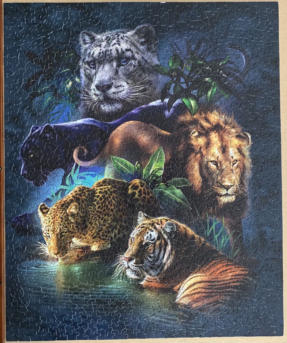 Big Cat Prowess - SunsOut 🇺🇸 puzzle collectible [Barcode 796780524163] - Main Image 3