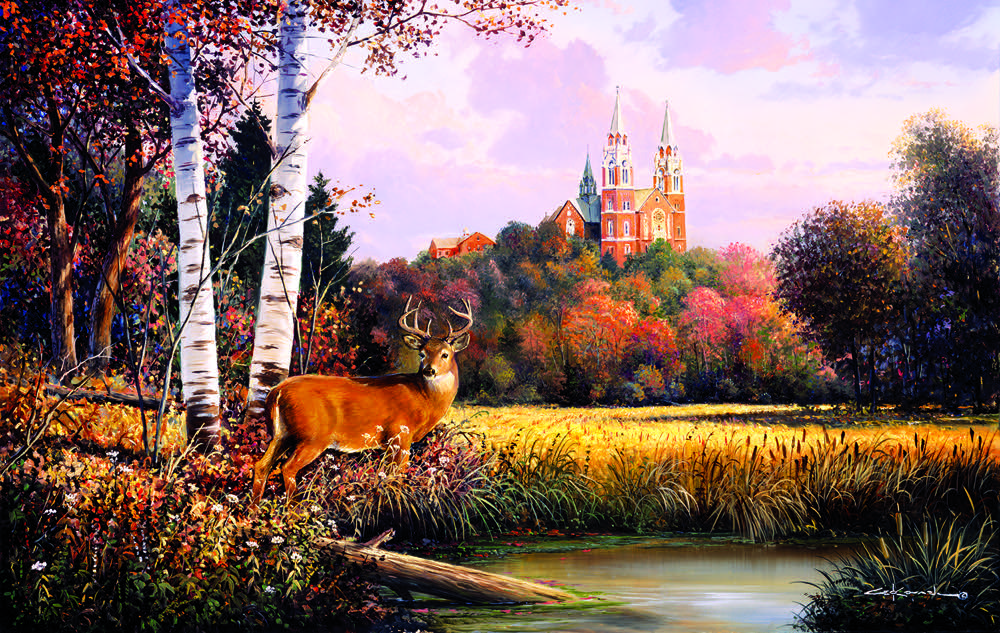 Bambi’s First Year