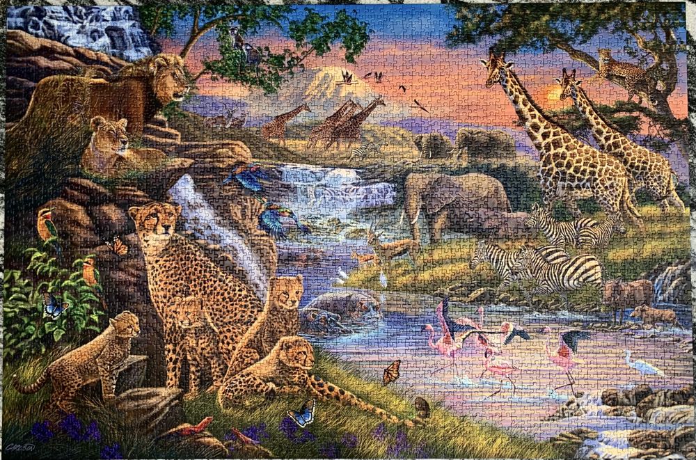 Animal Kingdom - Ravensburger puzzle collectible [Barcode 4005556164653] - Main Image 2