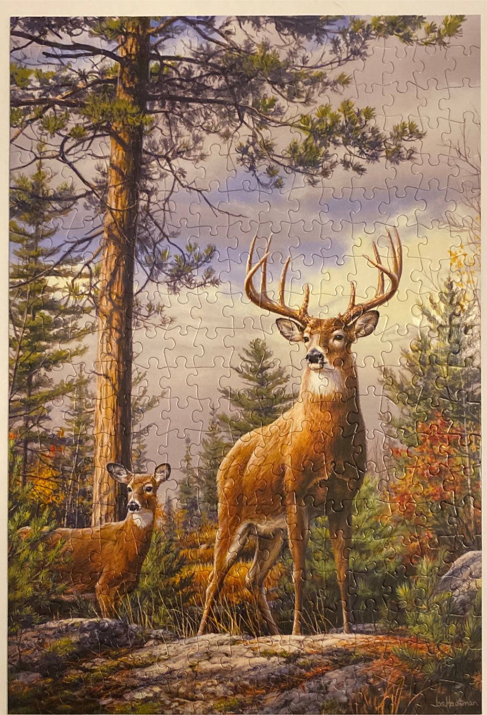 SOLD-Standing Proud - Buffalo puzzle collectible [Barcode 079346024971] - Main Image 2