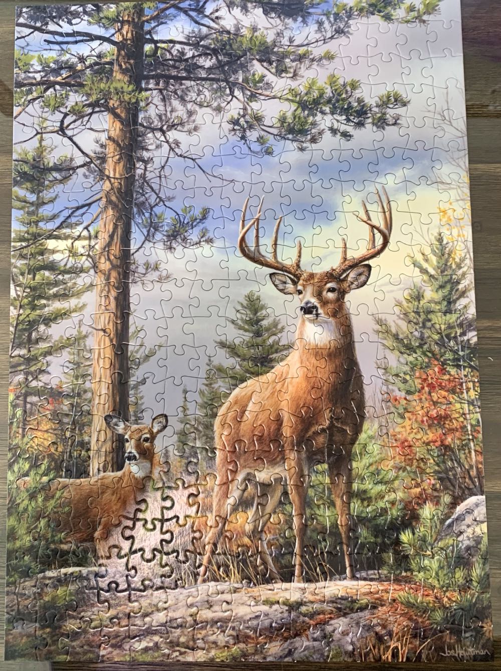 SOLD-Standing Proud - Buffalo puzzle collectible [Barcode 079346024971] - Main Image 4