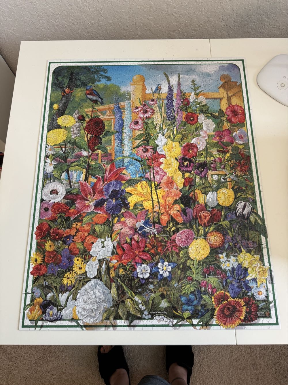 Perennials - White Mountain 🇺🇸 puzzle collectible [Barcode 724819250011] - Main Image 3