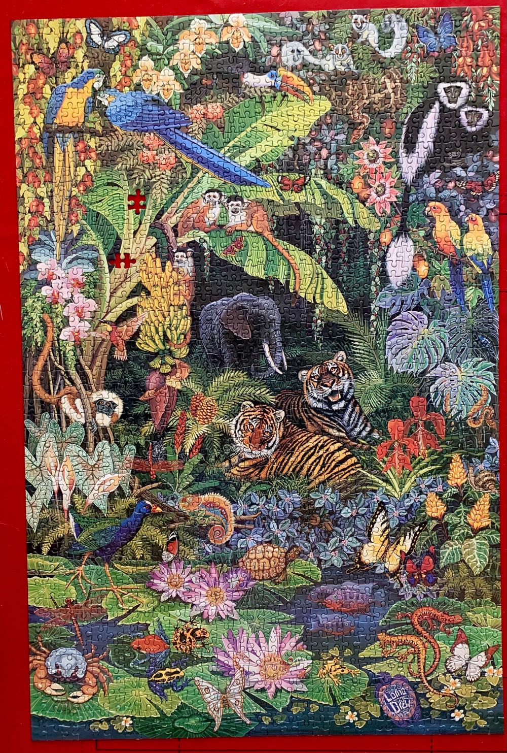 Animal Eden - Smile🇿🇦 puzzle collectible [Barcode 6002931001099] - Main Image 2