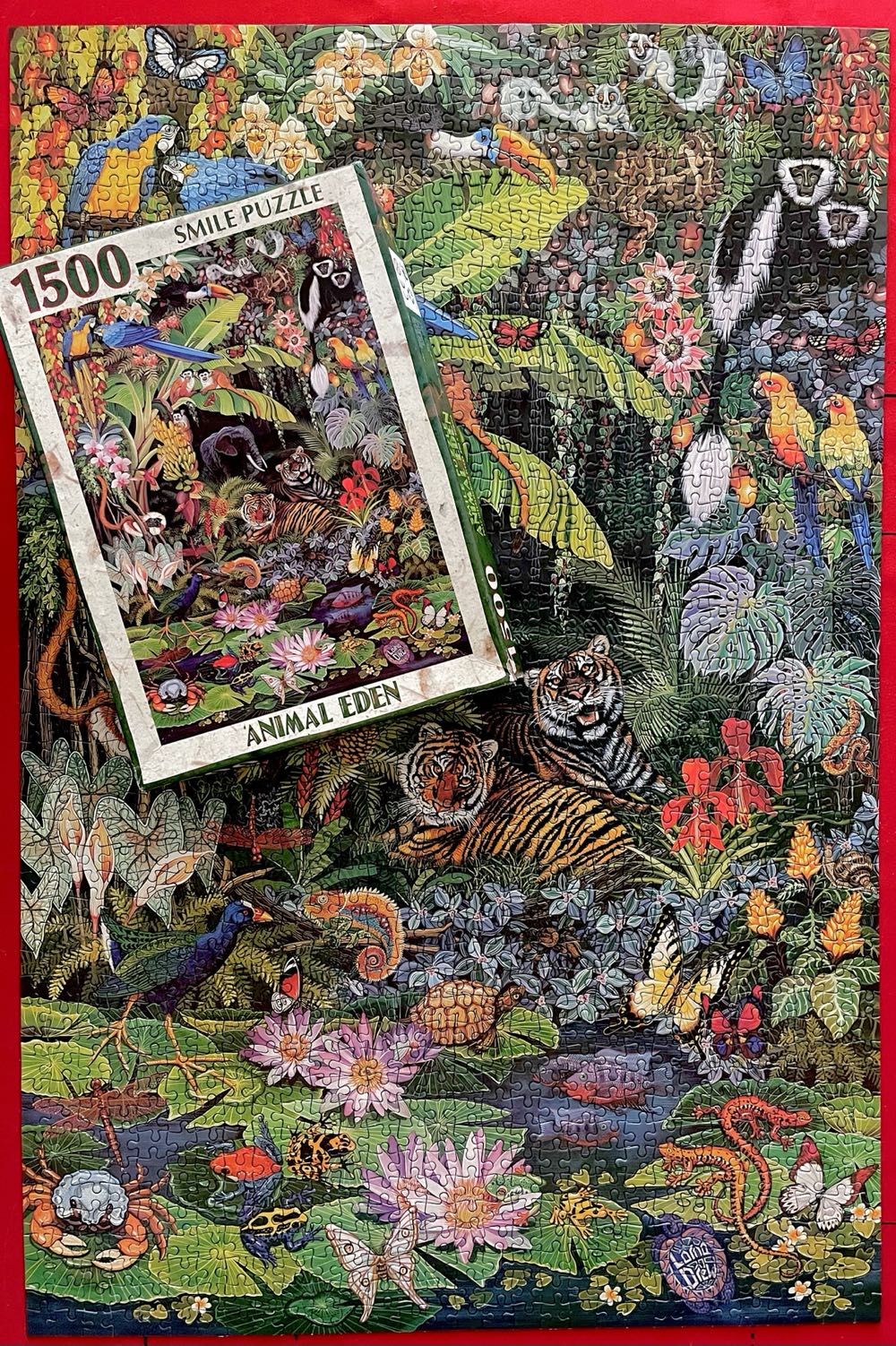 Animal Eden - Smile🇿🇦 puzzle collectible [Barcode 6002931001099] - Main Image 3