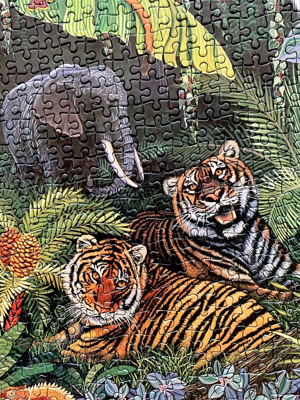 Animal Eden - Smile🇿🇦 puzzle collectible [Barcode 6002931001099] - Main Image 4