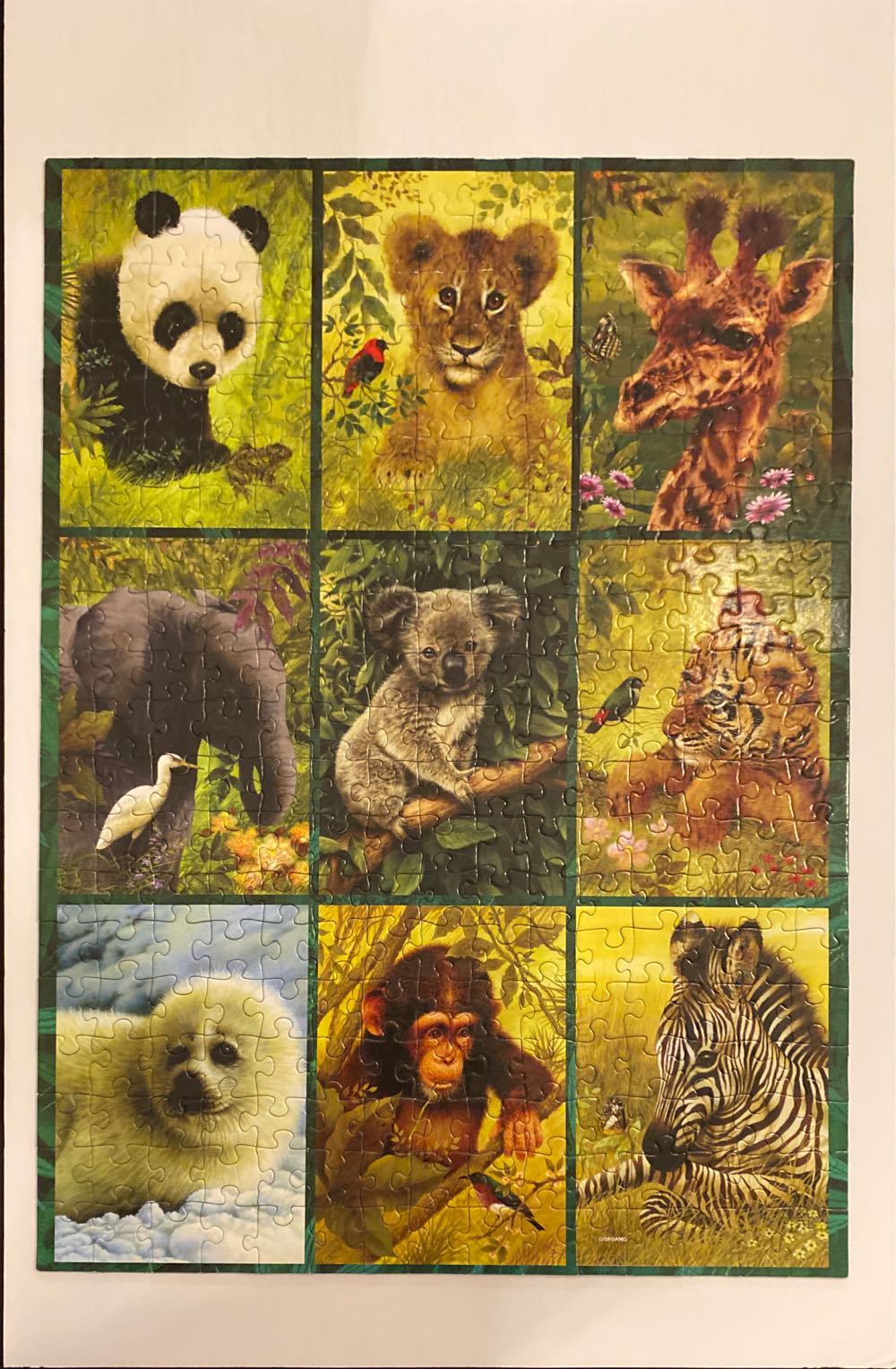 Endangered Species - Bits And Pieces puzzle collectible [Barcode 704812409883] - Main Image 2