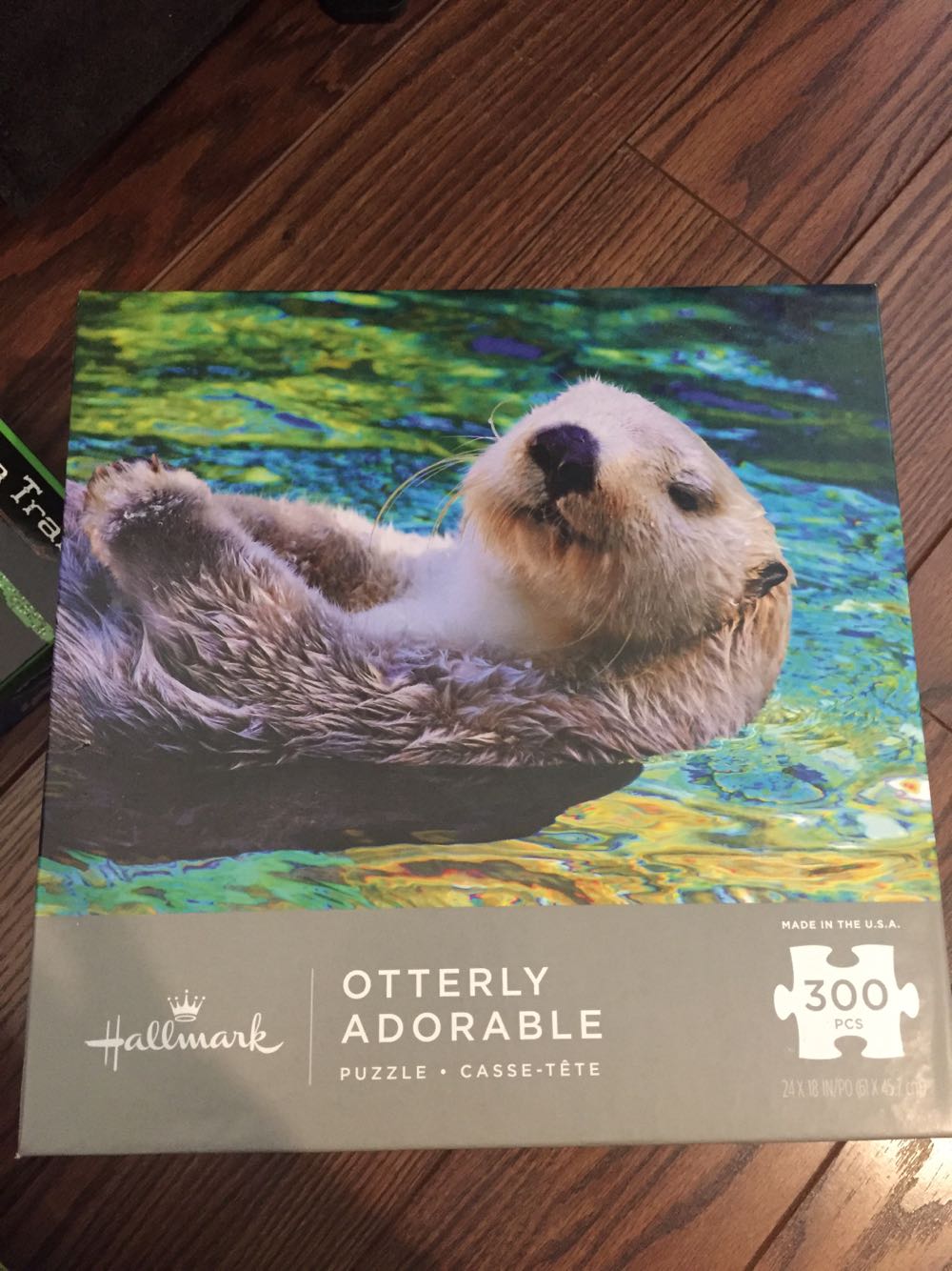 Wasgij - Soccer Madness