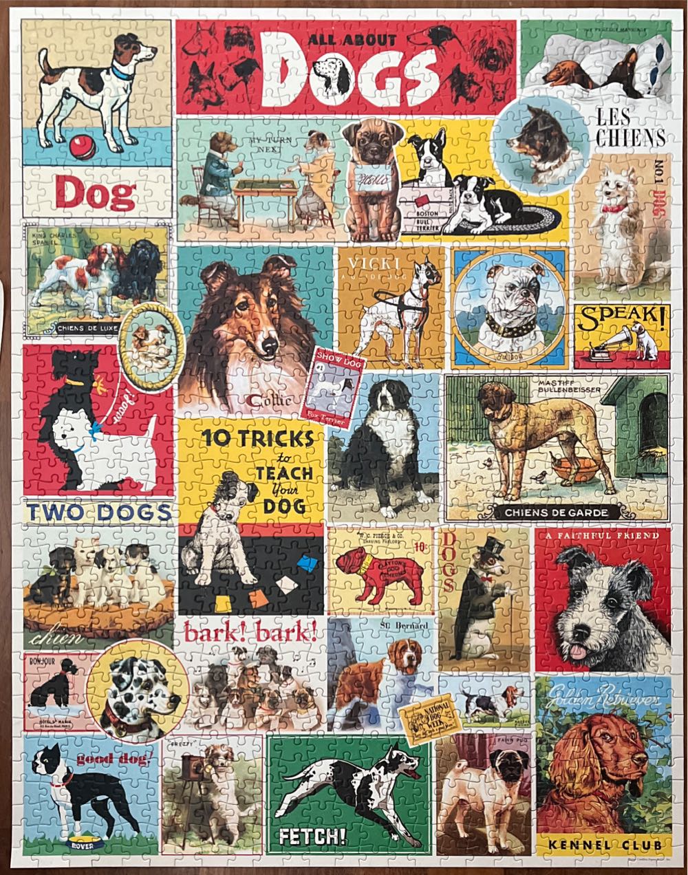 Dogs - Cavallini puzzle collectible [Barcode 9781635448894] - Main Image 2