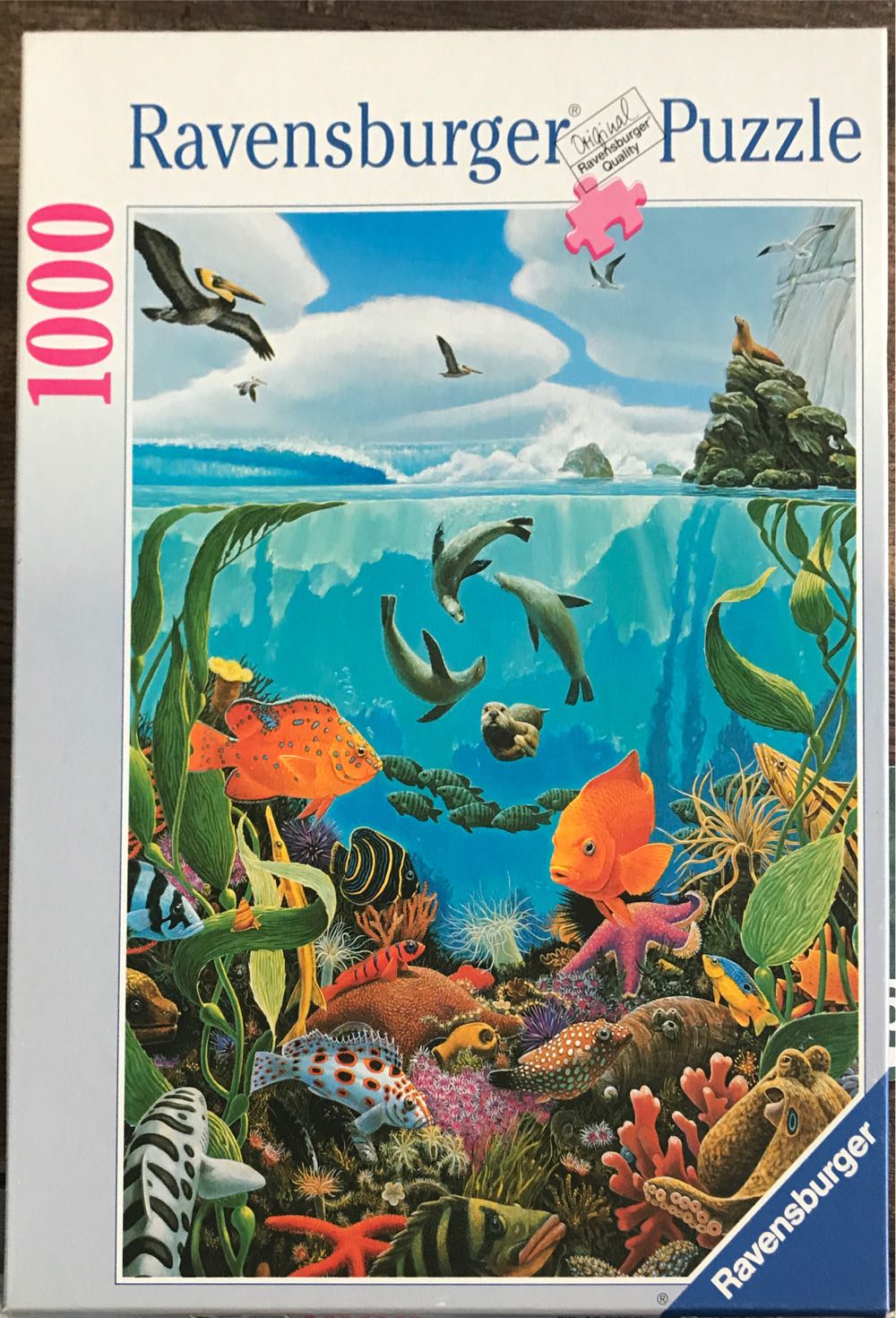 Coming Soon- Country Forest Farm