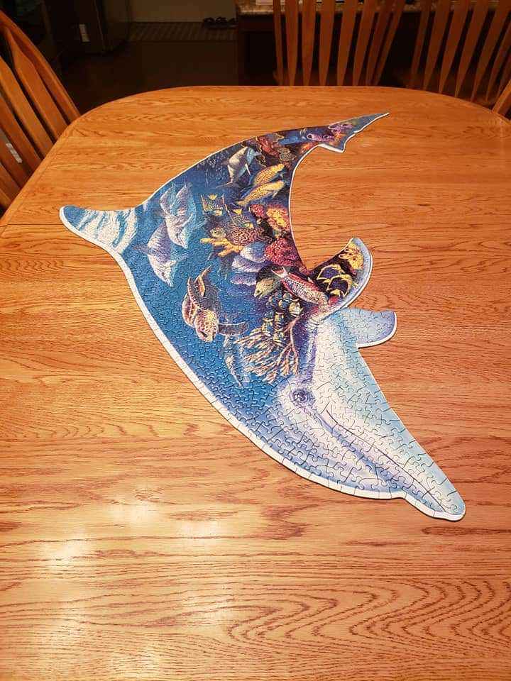 Dolphin Dreams - Ravensburger puzzle collectible [Barcode 666273813176] - Main Image 3