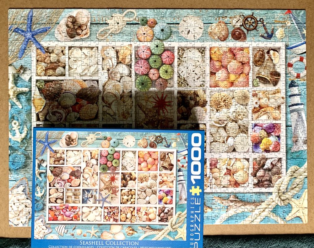 Seashells (Missing Piece) - Eurographics puzzle collectible [Barcode 628136655293] - Main Image 3