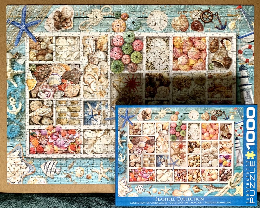 Seashells (Missing Piece) - Eurographics puzzle collectible [Barcode 628136655293] - Main Image 4