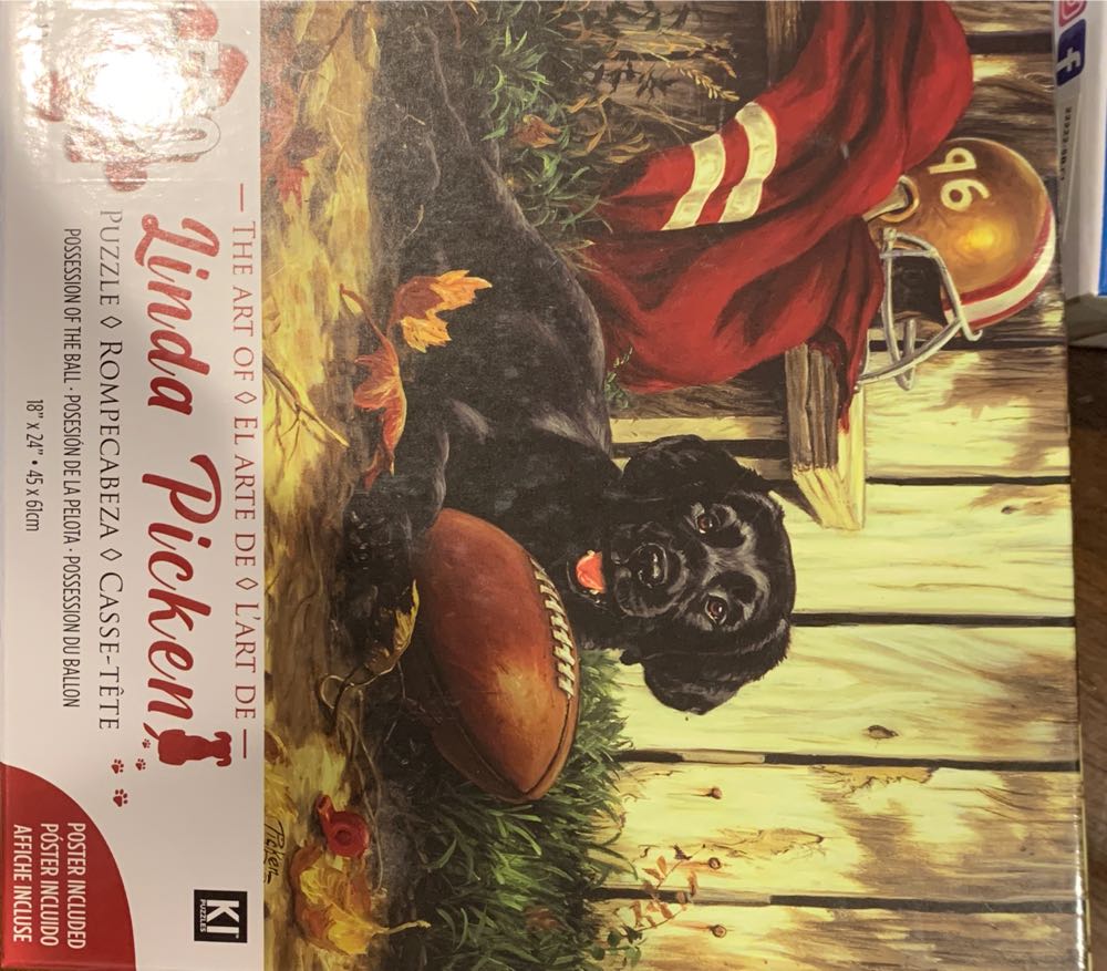 Possession Of The Ball - KI Puzzles puzzle collectible [Barcode 773392028487] - Main Image 1