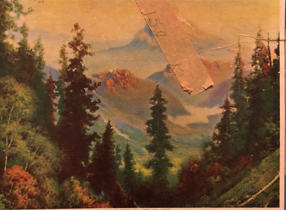 Flower Horse Jacarou