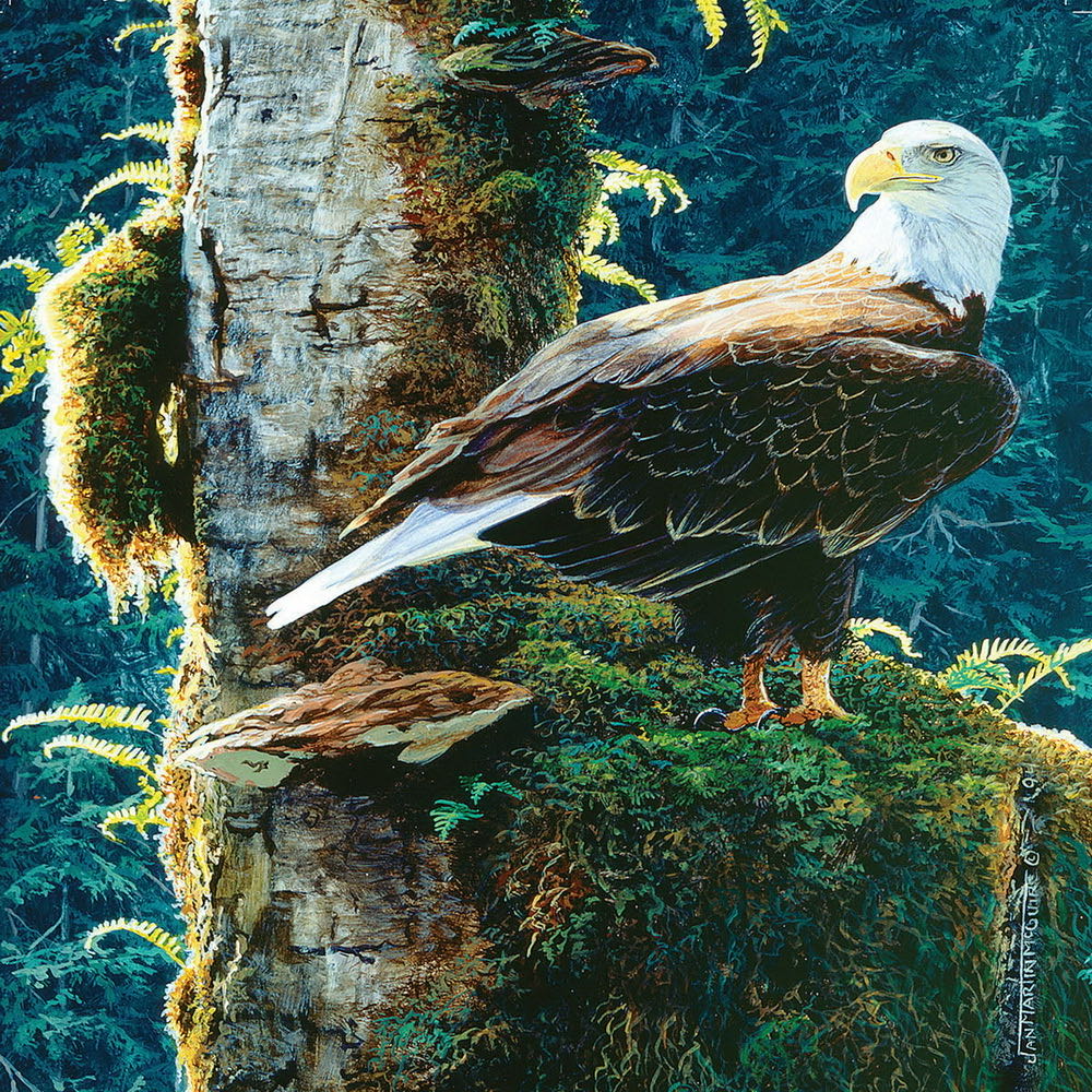 3d Jar Take A Nap Pintooba1002 128 Teile Pintoo