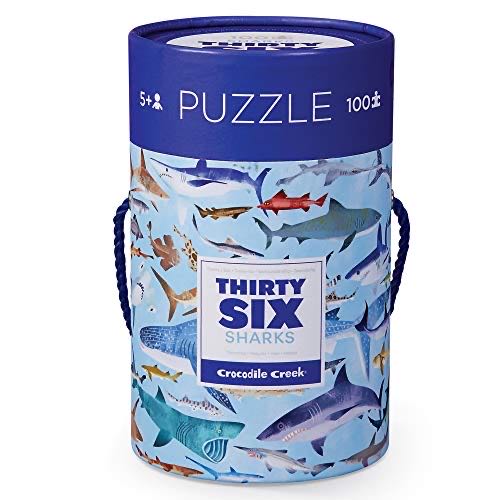 World’s Airport Travel Tags 