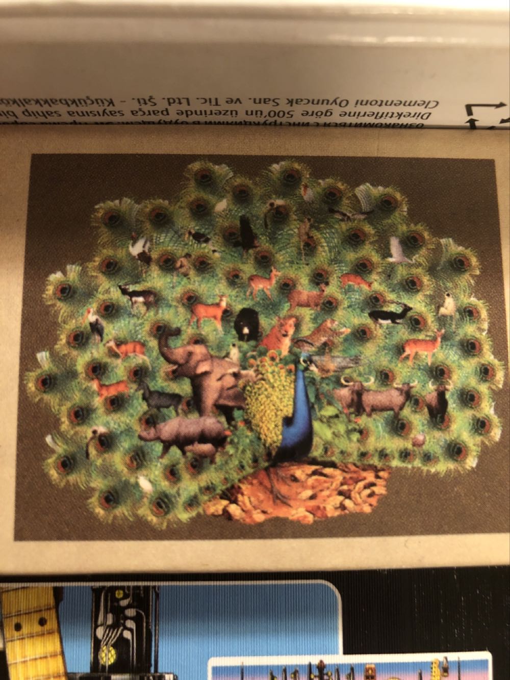 Braies Lake Italy By Hinkler Mountains