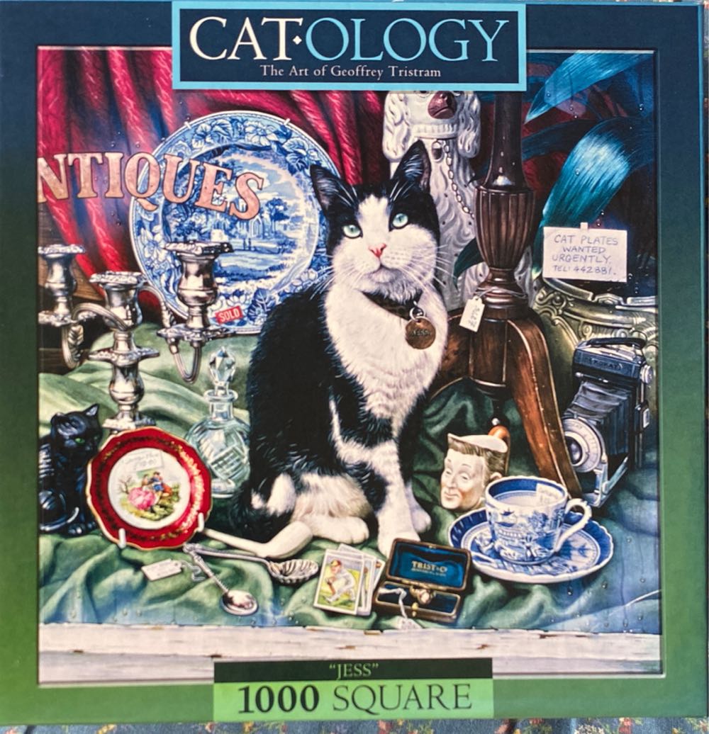 NFL Arizona Cardinals Panoramic