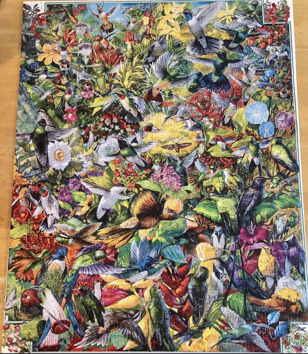 Hummingbirds - White Mountain puzzle collectible [Barcode 724819249190] - Main Image 2