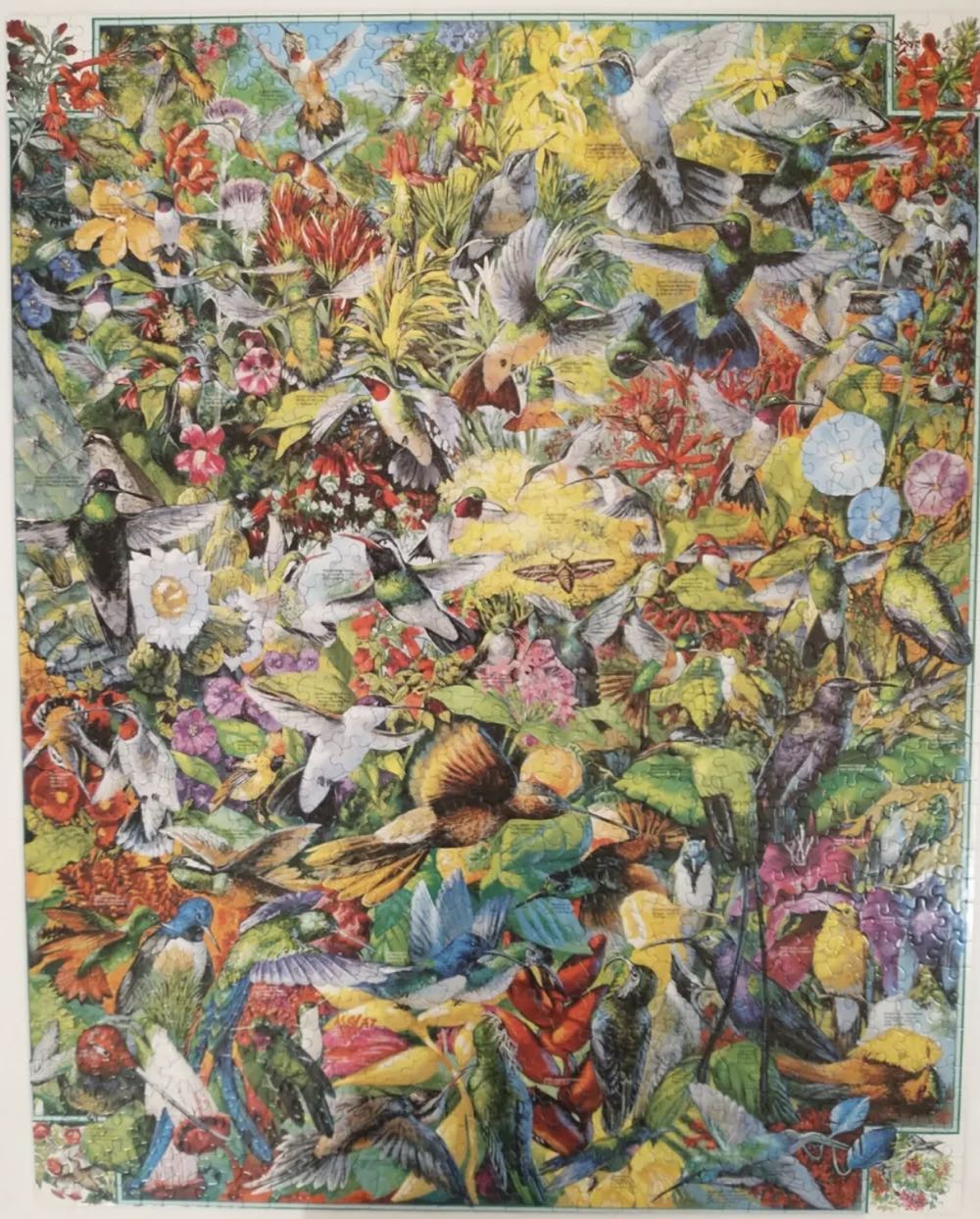 Hummingbirds - White Mountain puzzle collectible [Barcode 724819249190] - Main Image 3