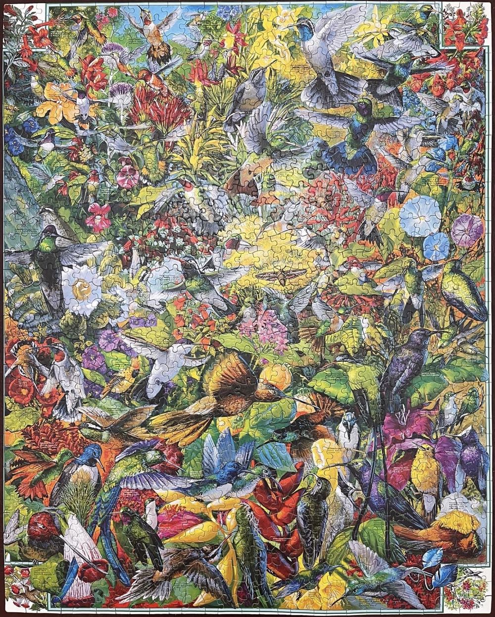 Hummingbirds - White Mountain puzzle collectible [Barcode 724819249190] - Main Image 4