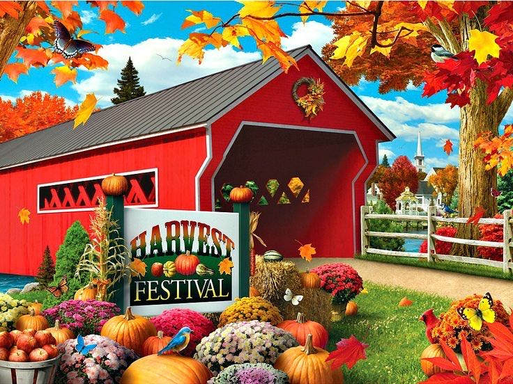 Underwater Dogs: Splash