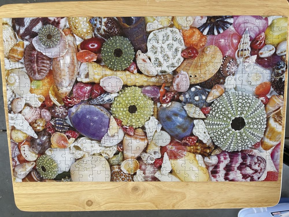 Seashell Treasure - Pickforu puzzle collectible - Main Image 2
