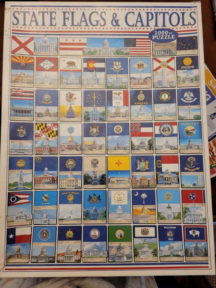 Photomosaics: Dolphin