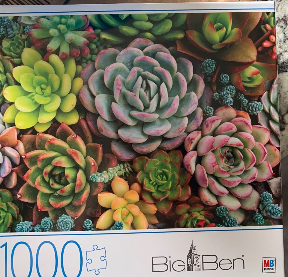 Modder Race / Mudracers 81851