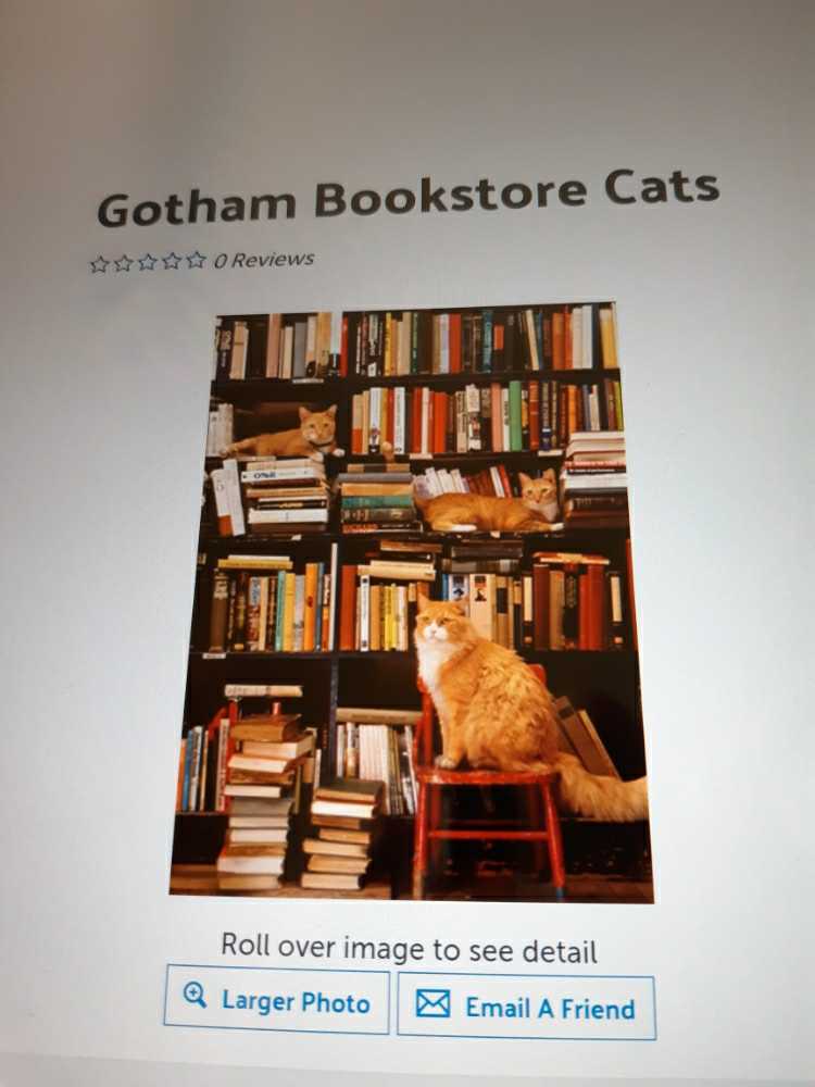 Stairway To Heaven 🪜🌫