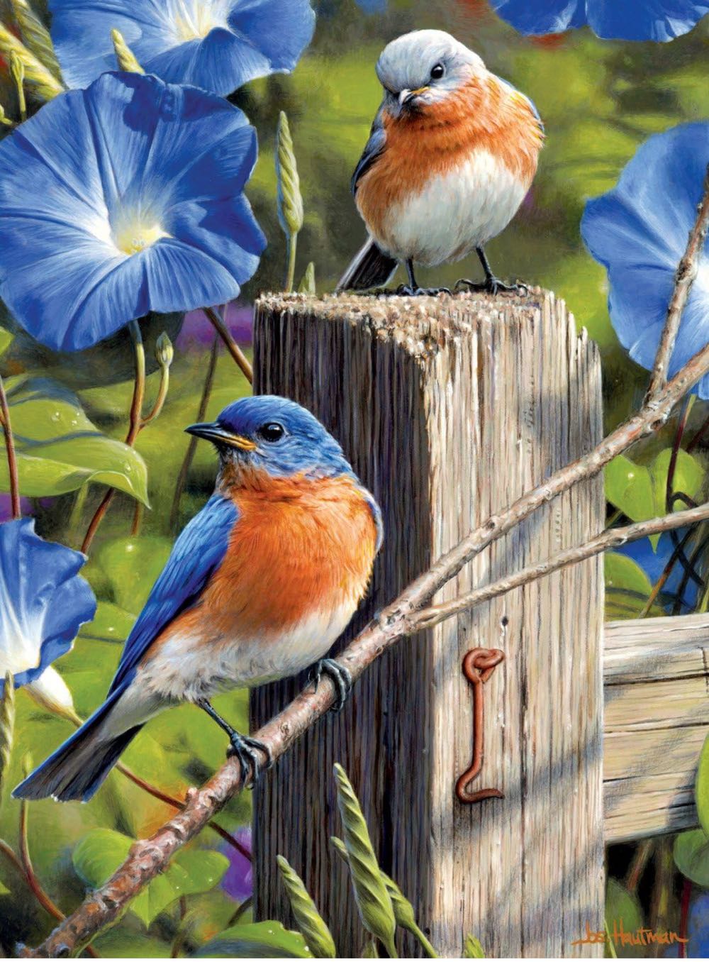 Garden Gate Bluebirds Jenn - Buffalo Games puzzle collectible [Barcode 079346111640] - Main Image 2