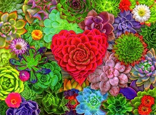 Welcome To My Garden