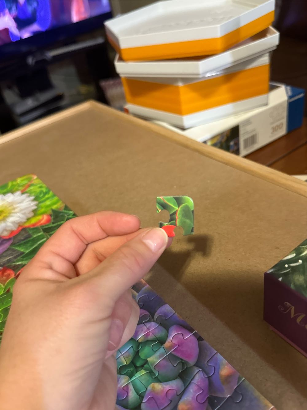 Succulent Love - Big Ben puzzle collectible [Barcode 778988330944] - Main Image 4