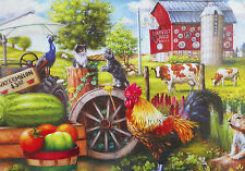 Summer At The Boathouse