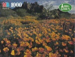 Magical Merry Go Round