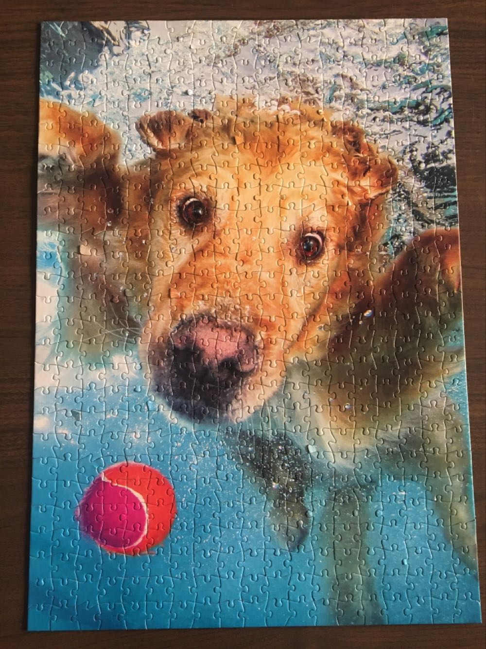 *Fetch! NEWFS - Buffalo puzzle collectible [Barcode 079346031160] - Main Image 2