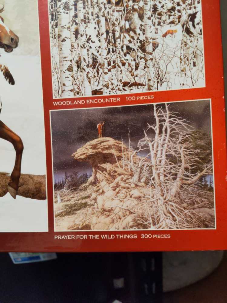 Wolves - Winter Wolf Family