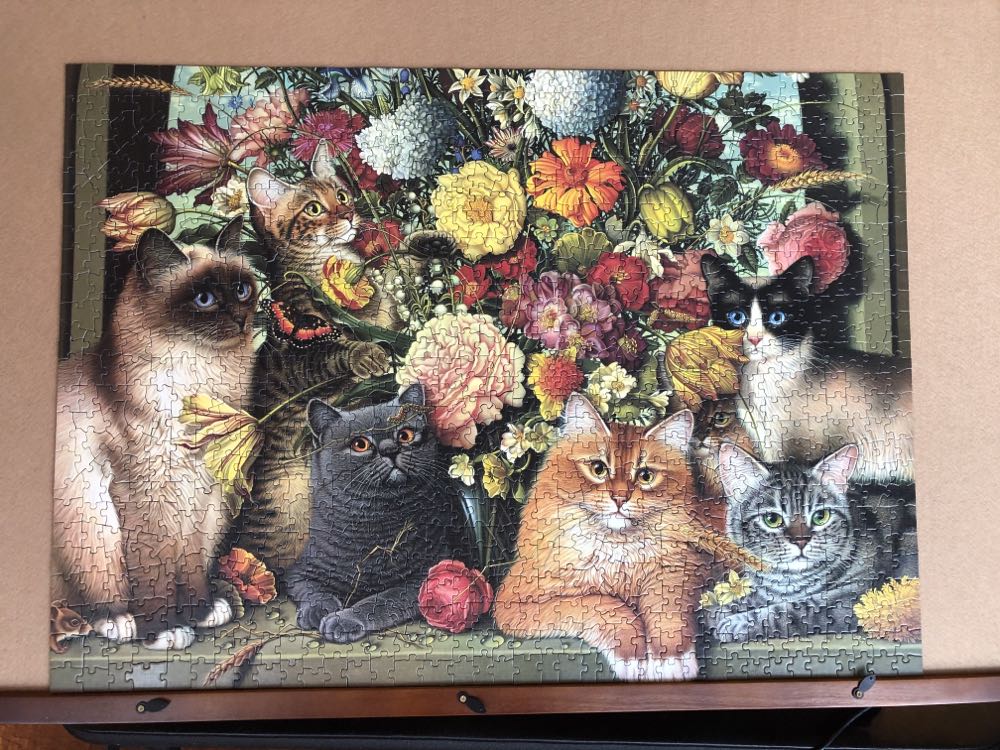 Cats: Boucat 1000 Pieces - Cobble Hill puzzle collectible [Barcode 625012516945] - Main Image 2