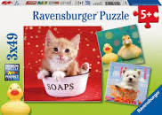 Moving Day In Amish Country