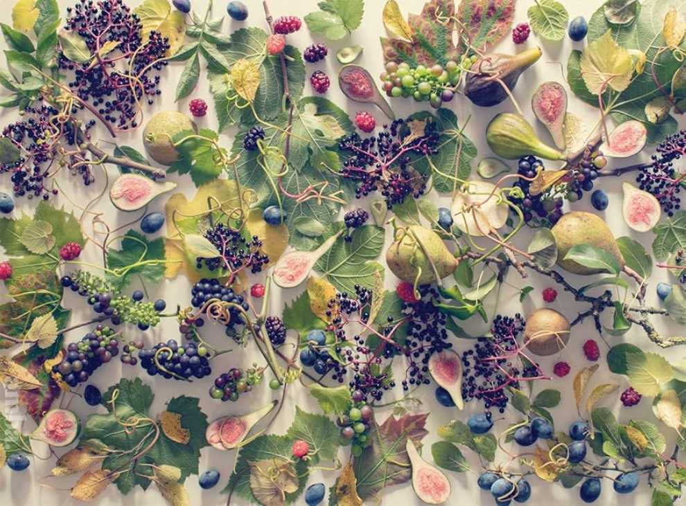 Autumn Fruit - Buffalo Games puzzle collectible [Barcode 079346108039] - Main Image 2