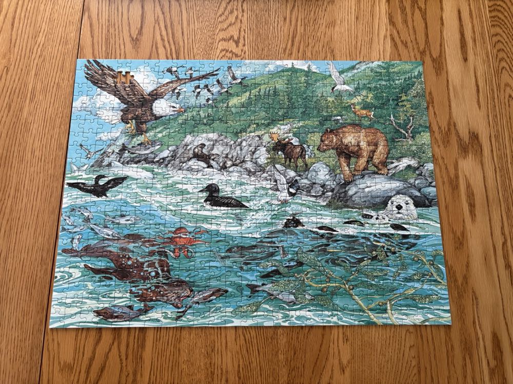 Pacific Shoreline - Ravensberger Puzzle puzzle collectible [Barcode 4005556142897] - Main Image 4