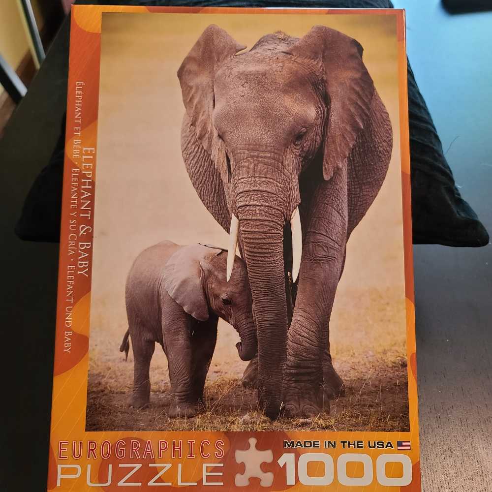 Covered Bridge And Buggy 3